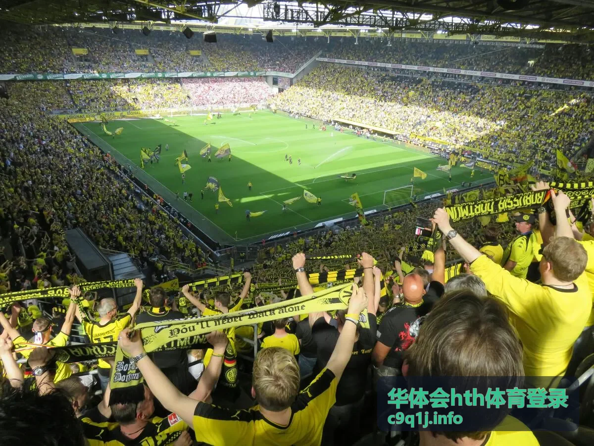 华体会hth体育登录会员专属活动封面